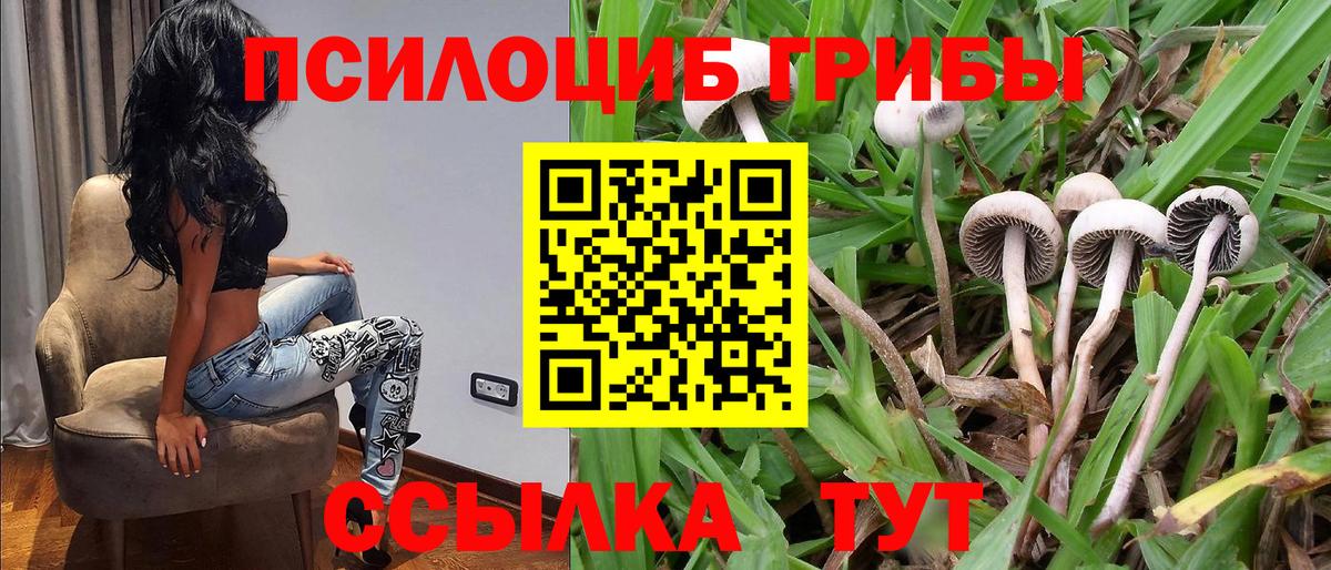 Псилоцибиновые грибы прущие грибы Вичуга