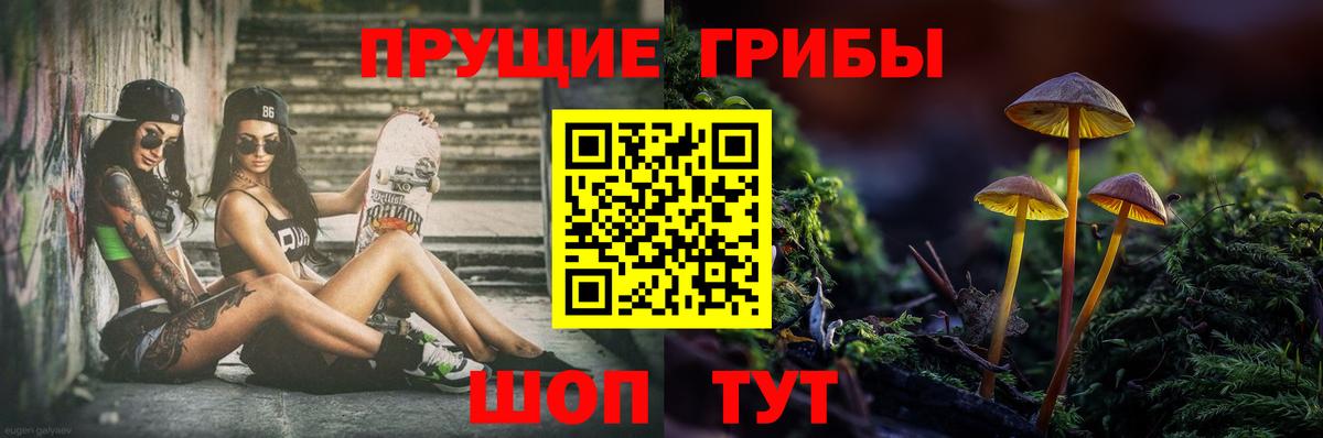 Галлюциногенные грибы MAGIC MUSHROOMS  где продают   Вичуга  Вход с VPN 